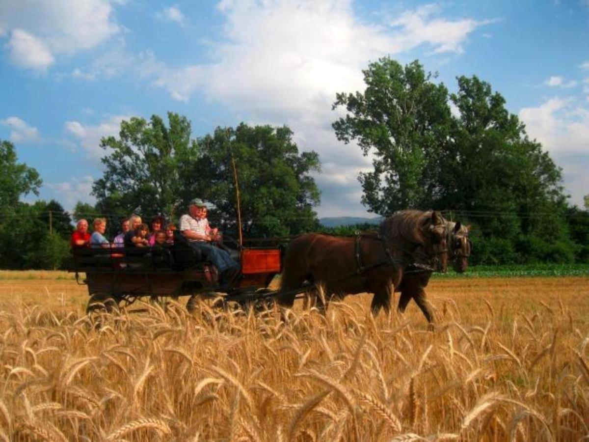 Ferienwohnungen Maierhof Oberried Оберид Екстериор снимка