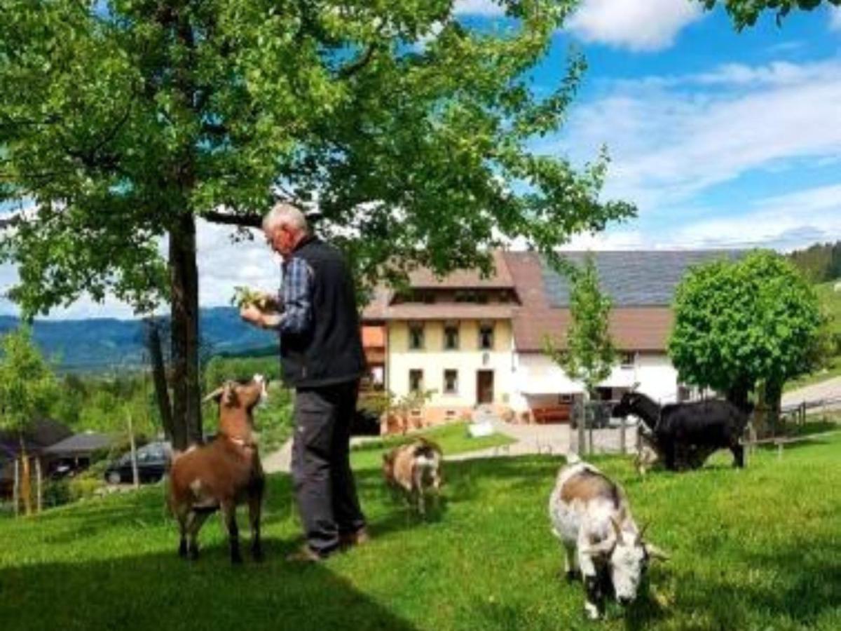 Ferienwohnungen Maierhof Oberried Оберид Екстериор снимка