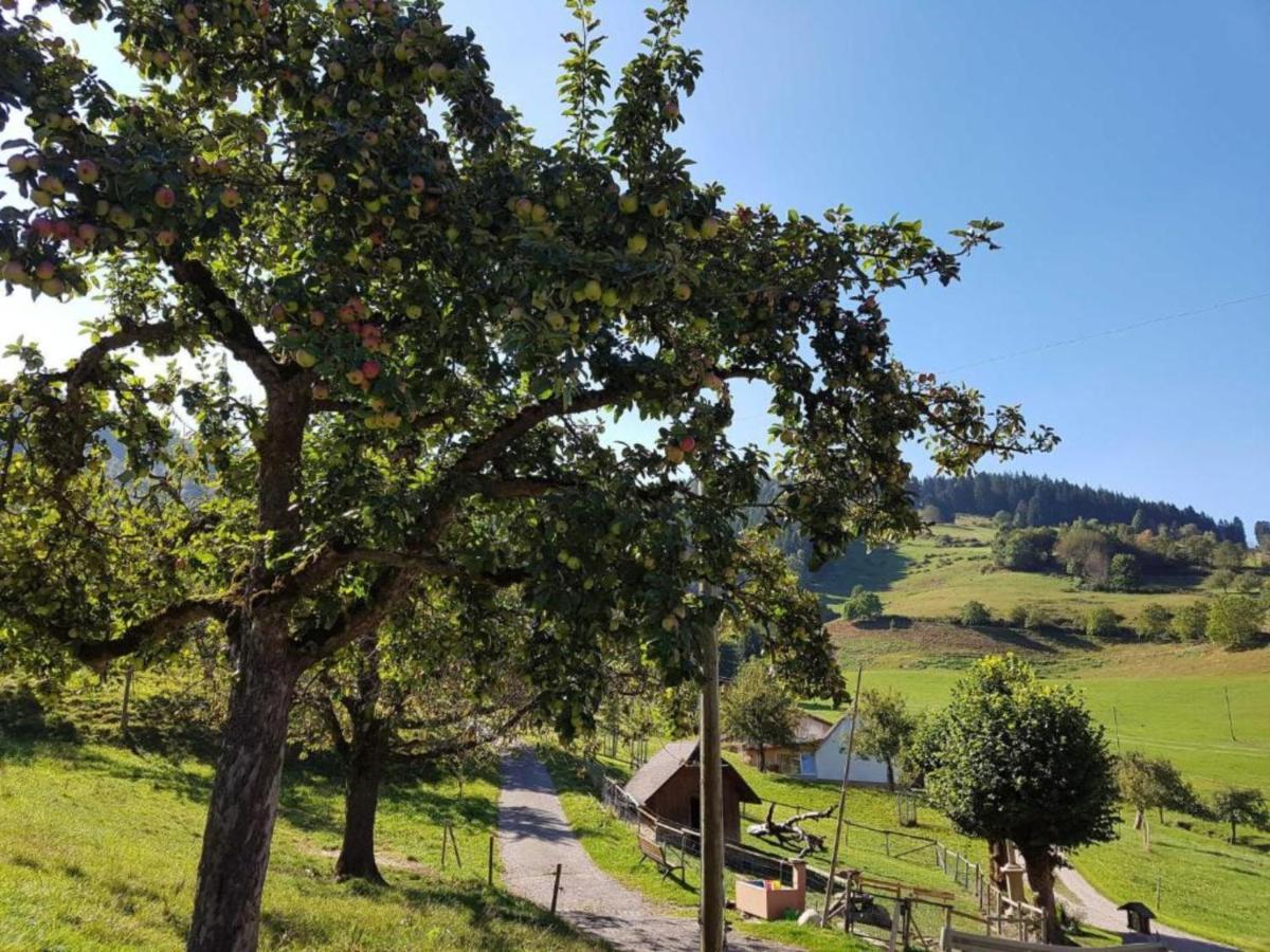 Ferienwohnungen Maierhof Oberried Оберид Екстериор снимка