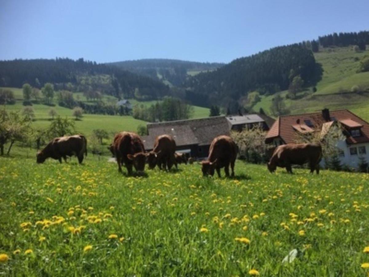 Ferienwohnungen Maierhof Oberried Оберид Екстериор снимка